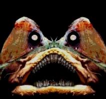 iron lung creature|Frog (Iron Lung) .